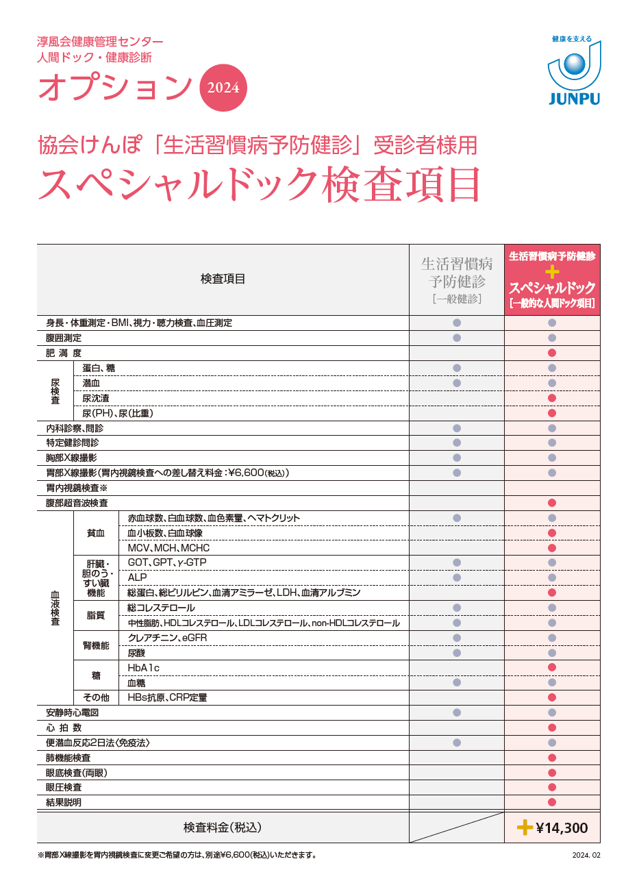 スペシャルドック検査項目表